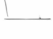 Türverkleidung rechts vorne Citroen C5 III (RD)