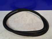 Türgummi links vorne Volvo XC60 II (246) 32245061