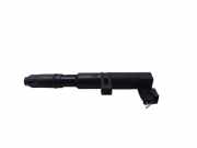 Hochspannungszündkabel (Steckkabel) RENAULT LAGUNA III Grandtour (KT0/1) 2.0 16V Turbo 7700875000