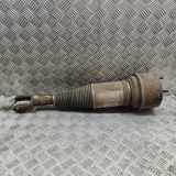 Stoßdämpfer links vorne Jaguar XJ (X350, X358) 2W935C304TN