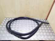 Türdichtungsgummi vorne links PEUGEOT 4007 (GP_) 2.2 HDi