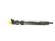 Einspritzdüse FORD KUGA II (DM2) 2.0 TDCi 9686191080