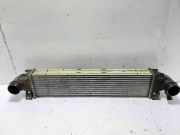 Ladeluftkühler Volvo XC60 I (156) 31338475