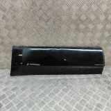 Türunterzierleiste hinten links LAND ROVER DISCOVERY V (L462) 3.0 D 4x4 HY3M-274A49-AA