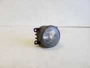 Nebelscheinwerfer links NISSAN PATHFINDER III (R51) 2.5 dCi 4WD 26154EA500