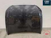 Motorhaube Audi Q5 (8R) 8R0823029
