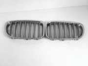 Vorderer oberer Gitter BMW X1 (E84) xDrive 18 d 2993307