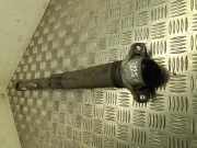 Stoßdämpfer hinten rechts VW GOLF VIII (CD1) 1.5 eTSI 5WA512011AF