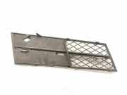 Gitter vorne unten BMW 5 (F10) 530 d 7231859