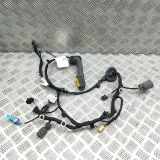 Türverkabelung hinten rechts SKODA ENYAQ iV SUV (5AC, 5AZ) 80X 4x4 5LA971694L