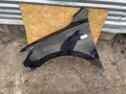 Kotflügel vorne rechts HYUNDAI SANTA FÉ II (CM) 2.2 CRDi GLS 4x4