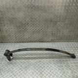 Blattfeder hinten links