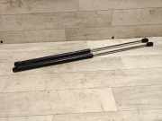 Heckklappe Gasdruckfeder rechts FIAT CROMA (194_) 1.9 D Multijet 1122194