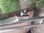 Dachreling links AUDI A4 Avant (8ED, B7) 3.0 TDI quattro