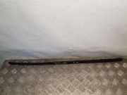 Zierleiste Windschutzscheibe Frontscheibe