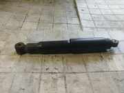 Stoßdämpfer hinten rechts FIAT DOBLO Cargo (223_) 1.3 D Multijet 381700290032 290032