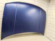 Motorhaube VW GOLF IV (1J1) 1.6