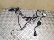 Kabel Tür vorne rechts AUDI Q7 (4L) 3.0 TDI quattro 4L0971029CA