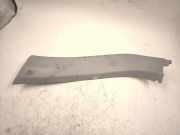 Andere Verkleidungsteile NISSAN PRIMERA Estate (WP12) 2.2 dCi 90902AV700