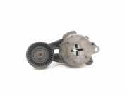Riemenspanner TOYOTA VERSO S (_P12_) 1.4 D4-D (NLP121_)