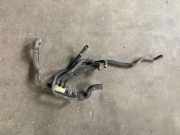Schlauch Kühlung RENAULT GRAND SCÉNIC III (JZ0/1_) 1.9 dCi 1800446415