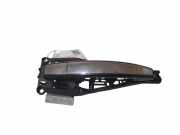 Türaußengriff hinten links