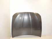 Motorhaube BMW 5 Touring (F11) 535 d