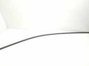 Dachleiste links VW ID.3 (E11) Pro S 10A853701B