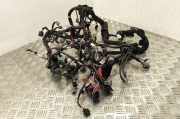 Kabel Motor Renault Megane IV Schrägheck (B9A) 0A0700