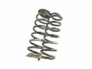 Federblatt links hinten VW Passat B7 (362)