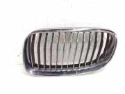 Kühlergrill oben BMW 5er (F10) 7254971