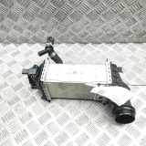 Ladeluftkühler VW T-Roc (A11) 05C145785C