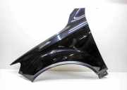 Kotflügel vorne links