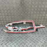 SRS Modul Dach links AUDI Q7 (4M) 3.0 TDI quattro 4M0880741E