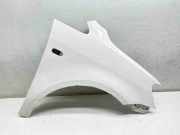 Kotflügel rechts vorne VW Caddy III Kasten (2KA) 1T0821156