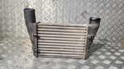 Ladeluftkühler VW PASSAT B5 (3B2) 1.9 TDI 4motion 058145805A