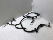 Kabel Tür vorne rechts NISSAN QASHQAI II (J11, J11_) 1.5 dCi