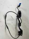 PLUS-KABELBAUM MERCEDES-BENZ C (W205) C 220 BlueTEC / d (205.003) A2054407436