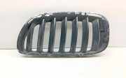 Vorderer oberer Gitter BMW X5 (E53) 3.0 d 7113733