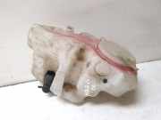 Behälter Scheibenwaschanlage Mercedes-Benz A-Klasse (W169) A1698690020