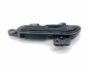 Türaußengriff hinten links TESLA MODEL 3 EV 1528114-00-D