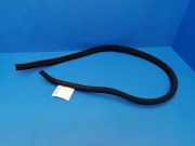 Türgummi rechts vorne Mercedes-Benz CLS (C219) A2196970151