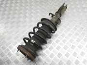 Stoßdämpfer vorne links BMW X5 (E53) 3.0 d