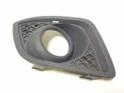 Blende Nebelscheinwerfer Ford Fiesta V (JH, JD)