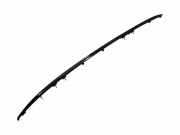 Dachreling links TOYOTA RAV 4 V (XA50) 2.5 Hybrid (AXAH52) 6240442010C2