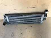 Kühlerluftumlenker RENAULT MEGANE II Sedan (LM0/1_) 1.9 dCi (LM0G, LM1G, LM2C) 425