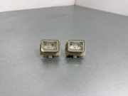 Kennzeichenbeleuchtung MERCEDES-BENZ S (W222, V222, X222) S 350 BlueTEC / d (222.132, 222.032, 222.123) A0999067000