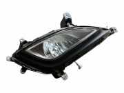 Nebelscheinwerfer vorne rechts HYUNDAI i20 (PB, PBT) 1.4 CRDi 13464