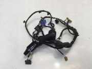 Kabel Tür vorne rechts VW GOLF VIII (CD1) 2.0 TDI GTD 5H4971162S