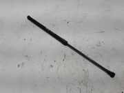 Heckklappe Gasdruckfeder rechts NISSAN QASHQAI II (J11, J11_) 1.2 DIG-T 904504EA0A